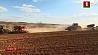 Белорусские аграрии планируют завершить посевную кампанию до 15 мая