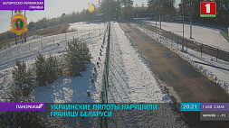 ГПК: во время учений украинские пилоты нарушили границу с Беларусью