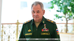 Лукашенко: Шойгу порой незаслуженно критикуют, он немало сделал