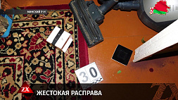 Раскрыты подробности жестокого убийства пенсионерки под Минском