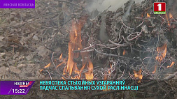 Первые случаи стихийных возгораний сухой растительности фиксируют спасатели Минской области