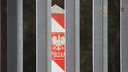 Польша начала строительство пограничного забора на территории Беловежской пущи