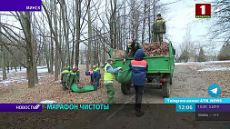 Субботники прошли во всех районах Минска 