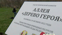 Новую аллею в парке Дружбы народов в Минске украсили 900 молодых саженцев 