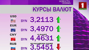 В Беларуси изменились курсы валют: что произошло с долларом