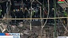 Под завалами небоскреба в Мехико найдены тела еще 2 сотрудников