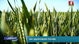 Большой выбор и нормальные цены - итог белорусской аграрной политики и личного курирования отрасли Президентом 