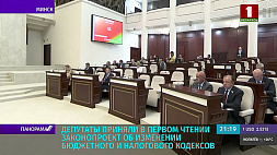 Законопроект "Об изменении Бюджетного и Налогового кодексов РБ" принят депутатами 