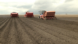 Сев яровых в Минской области на финише -  аграрии засеяли 80 % площадей