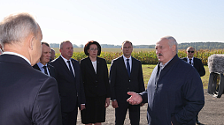 Лукашенко: Готовьтесь, что следующий год у нас - Год качества