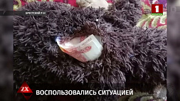 В Брестском районе у дамы украли ридикюль с деньгами