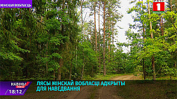Леса Минской области открыты для посещения