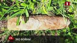 Артиллерийский снаряд времен Великой Отечественной войны обнаружен в лесу 