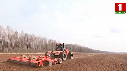 Президент Беларуси инспектирует окончание посевной с воздуха