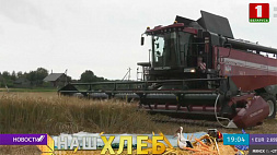 В Беларуси намолочено  более 968 тысяч тонн зерна