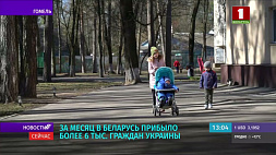 За месяц в Беларусь прибыло более 6 тыс. граждан Украины