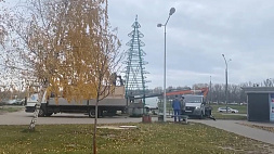 В Минске начали устанавливать первые новогодние елки