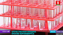 Президент Беларуси подписал распоряжение о создании отечественной вакцины против инфекции, вызванной коронавирусом 