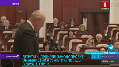 Закон об амнистии депутаты приняли в двух чтениях 