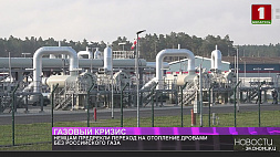 Немцам предрекли переход на отопление дровами без российского газа