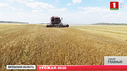 Уборка зерновых в Беларуси завершается