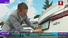 Зеленые номера - такие регистрационные знаки в Беларуси будут устанавливать на электромобили 