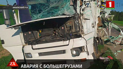 В Ивьевском районе при столкновении двух фур один из водителей оказался зажат в салоне 