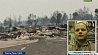 Районы некоторых городов Калифорнии сгорели полностью