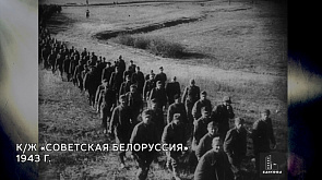 Ужасающее напоминание о Великой Отечественной войне - в проекте "В открытом доступе"