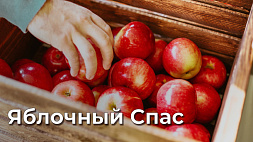 Яблочный Спас - традиции праздника, когда его отмечают, что можно приготовить из яблок
