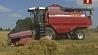 Уборку зерновых в Беларуси планируется завершить в ближайшие дни
