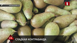 Сладкая контрабанда: белорусские таможенники пресекли три попытки незаконного перемещения более 58 тонн груш