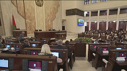 Законопроект об амнистии приняли депутаты в двух чтениях 