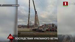 В Осиповичах спасатели демонтировали трубу котельной 