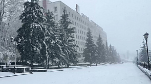 Деревья прижало к земле, на дороге слабая видимость - Гродненскую область засыпало снегом