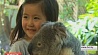 Австралийских коал готовят к объятиям с политиками