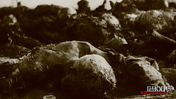 Историю лагеря смерти "Тростенец" смотрите в новой серии проекта "Геноцид. Без права на жизнь"
