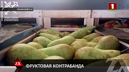 40 тонн груш пытались вывезти из Беларуси без документов