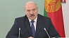 В Беларуси проведут проверку готовности войск территориальной обороны 