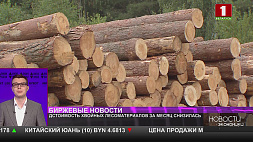 На внутреннем рынке Беларуси за месяц снизилась стоимость хвойных лесоматериалов 