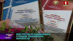 МЧС наградило журналистов программ "Зона Х" и "Новости региона" накануне Дня пожарной службы