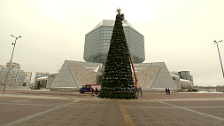 Почти 3 км безопасных гирлянд украсят елки новогоднего Минска