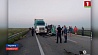 Сегодня утром в Николаевской области разбился белорусский микроавтобус 