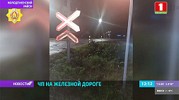 Под Молодечно на станции Олехновичи под поезд попала 45-летняя женщина