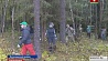 В Беларуси прошла республиканская акция "Чистый лес"