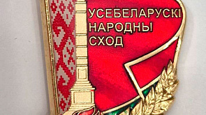 Президент Беларуси учредил нагрудный знак делегата ВНС