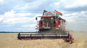 Уборочная-2024: Брестская область собрала первый миллион тонн зерна 