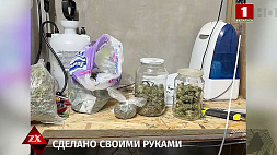 В Минске ликвидировали нарколабораторию 
