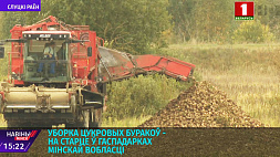 Уборка сахарной свеклы - на старте в хозяйствах Минской области
