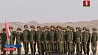 Более 3000 военнослужащих участвовали в учениях "Поиск-2018" в Казахстане